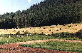 Our Hay Field with the garden in the foreground