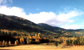 The view of our valley